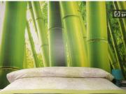 Dormitorio 1 cama individual