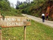 Dos Casas en venta con 5000m2 de terreno en La Pastora...