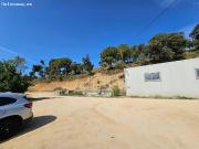 DOS FINCAS RÚSTICAS EN VENTA CON RENTABILIDAD EN MATARO