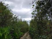 Dos Lotes colindantes de 10 hctas c/u en Venta a $16/m2...