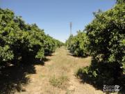 Dos Pisos Unidos en Venta en Vistahermosa