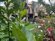 DOS RESIDENCIAS FRENTE A LA EMBLEMÁTICA PLAZA DE LA...