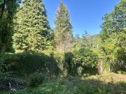 Dots Cottage, The Meetings, Y14N109