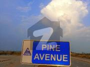 Double 75 Feet Road Plus Corner 10 Marla Residential...