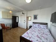 Double Bedsit with Ensuite Shower in Chelsea
