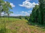 Double Branch Rd, Columbia, Plot For Sale