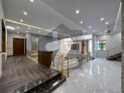 Double Heighted 5 Bed Designer House At Reasonable Price...