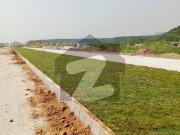 Double Road Plot For Sale