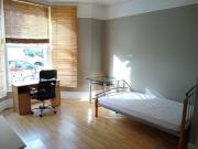 Double Semi Studio To Rent