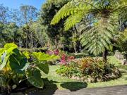 Double Storey Delight Drenched in Sunlight and...