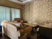 Double Storey semidetached house