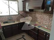 Double Story 7 Bed Rooms Bungalow Tv Lounge Kitchen...