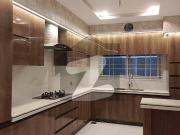 Double story new real picture urgent sale