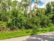Douglas Rd, Punta Gorda, Plot For Sale