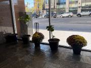 Downtown FURNISHED Loft Style very Unique 120 23rd...