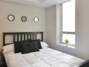 Downtown Ottawa Furnished Condo Rental At 169 Lisgar –...