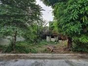 Doña Faustina 2, Tandang Sora, Q.C vacant lot for Sale