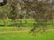 DP C/VISTA PANORAMICA GOLF LOS INCAS 3 DOR 2 COCHERAS A....