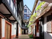 Dpt Bas Rhin 67, viager à vendre BOERSCH propriete P15...