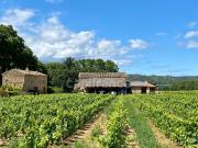 Dpt Gard 30, Domaine viticole de 16 hectares avec Chai...