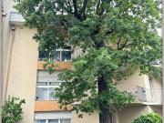 Dpt Seine Saint Denis 93, à vendre AULNAY SOUS BOIS... Dpt Seine Saint Denis 93, à vendre AULNAY SOUS BOIS...