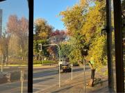 Dpto Antiguo para Remodelar Parque Forestal