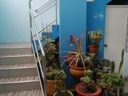 DPTO VENDO 88m2 3 DORM EDIFICIO FAMILIAR