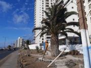 Dpto Vientos del Sur I