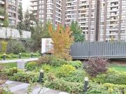 DR. JOHOW, GRECIA, MACUL, 2D 2B