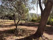 Draguignan 83300 Programme neuf terrain neuf à vendre