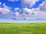 Drei Landwirtschaftsflächen Ackerland oder Grünland in...