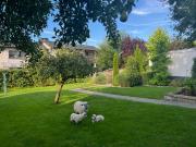 Dreifamilienhaus in Bielefeld Hillegossen mit großem...