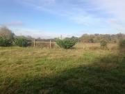 Druye 37190 Programme neuf terrain neuf à vendre