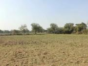 Commercial Land 2522 Sq.Ft. In Shahibagh Ahmedabad...