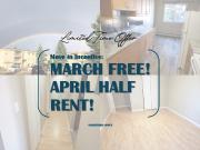 Duggan Manor 2 Bedroom Apartment for Rent at 10615 40...