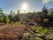 Dumbéa 98835 Achat / Vente terrain