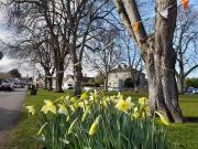 Dunboyne Village Co. Meath, Dunboyne, Co. Meath is for rent