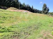 Dunières 43220 Achat / Vente terrain