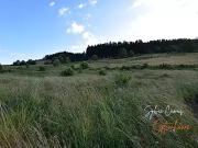 Dunières 43220 Achat / Vente terrain