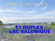 Duplex 3 pièces 53 m²