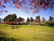 Dúplex en Venta en Castiñeiriño Cruceiro de Sar