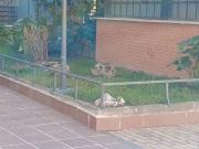 Dúplex en Venta en El Nido Las Fuentes