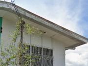 Duplex House for Sale in Maria Cristina Extension,...