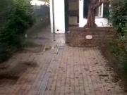 Duplex in affitto a Pisa 70 mq Rif: 1356378