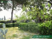 Duplex in vendita a Marciana Cascina in Discreto...