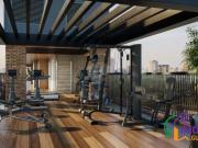 Duplex moema pãssaros sp