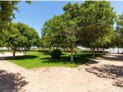 Dúplex Venta Almoradí, Almoradí