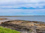 Duplex's Rock, Low Rock, Coast Road, Malahide, Co....
