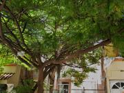 Duplica Tu Inversion, Te Asesoramos! Casa De Remate Ya...