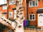 Durden Street, Liverpool, L7 4LN, United Kingdom | 2 bed...